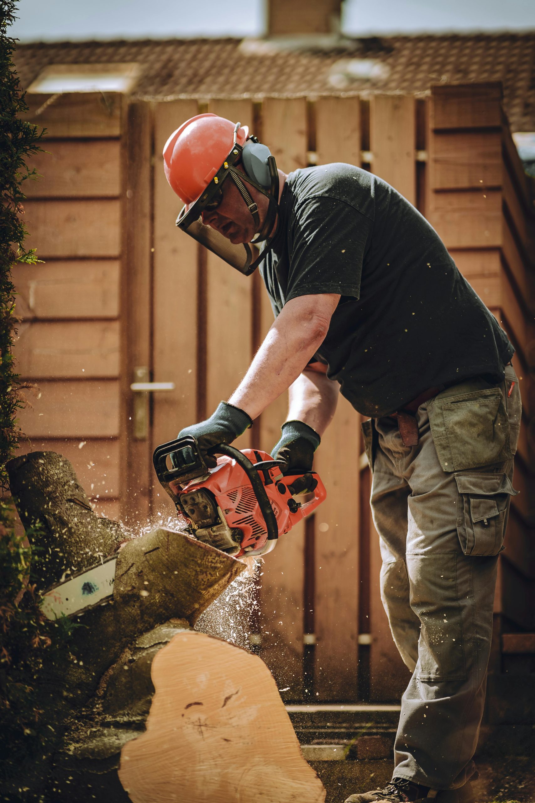 Tree Cutting Trinidad