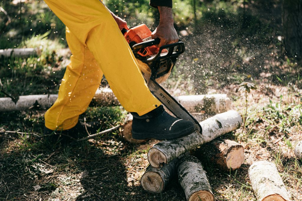 Tree Cutting Trinidad